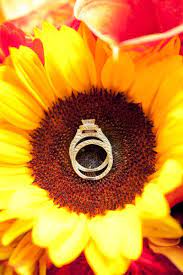 Wedding Rings On A Sunflower Sunflower Wedding Rings Sunflower Themed Wedding Sunflower Wedding