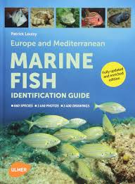 Europe And Mediterranean Marine Fish Identification Guide