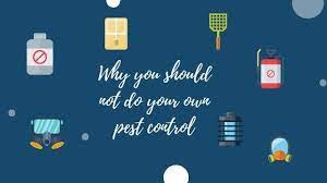 Same as the medicines for humans, the pest control products are also chemicals and these may harm humans and human surrounding if not used judiciously. Should You Do Your Own Pest Control Rentokil Singapore