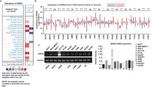 Defining cancer cancer is an accumulation of abnormal cells that multiply through uncontrolled cell division and spread to other parts of the body by invasion and/or distant metastasis via the blood and lymphatic system metastasistumour growthnormal cellsabnormal cells invasion into surrounding. Expression Of Grina Correlates With Prognosis In Human Cancers A Pan Cancer Analysis Biorxiv