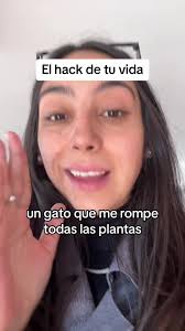 Hecha la ley hecha la trampa dicen 😝 #catmom #catmomlife #hacks  #longervideo