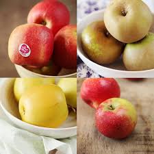 Les Pommes Les Re Connaitre Les Utiliser Chefnini Pomme Variete Pomme Cuisine
