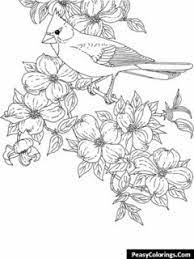 Those are some big birds. Birds Coloring Pages To Print Online Easy Peasy Colorings