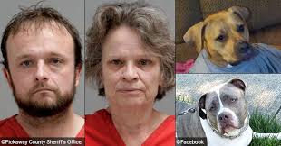 2024 Dog Bite Fatality: Kansas City Man Dies After Being Attacked by  Vicious Dog Pack While Riding his Bicycle; Dog Owners Charged