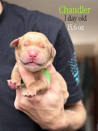 First close ups. (It's really hard at this age so excuse minor blurriness 