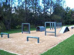 Check spelling or type a new query. It S A Dog S Life In Waipa Waipa District Council