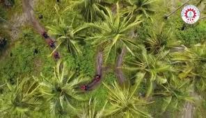 Kuala terengganu's sultan mahmud airport (tgg) has around half a dozen flights per day to kuala lumpur (1 hour) on malaysia airlines and airasia. Pejabat Mara Daerah Kuala Terengganu Kuala Terengganu 2021