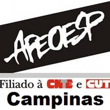 The original size of the image is 195 × 195 px and the original resolution is 300 dpi. Apeoesp Campinas Home Facebook