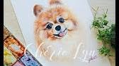 I have used similar online services but the quality was lacking. Watercolor Pet Portrait Corgi And Poodle Part 1 Youtube