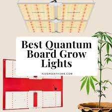 The 14 best 600 watt led grow lights for your garden. Best Quantum Board Grow Lights 2020 420 Green Thumb