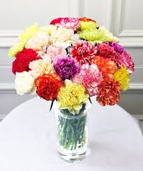 Cut carnations direct to your door since 1915. Mixed Carnations Sent By First Class Post Uk Fineflora Flowers