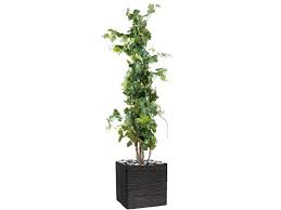 On trouve aujourd'hui sur le marché des plants de vigne résistants et faciles d'entretien. Cep De Vigne Artificiel En Pot H 140cm Vente De Artificielles Conforama