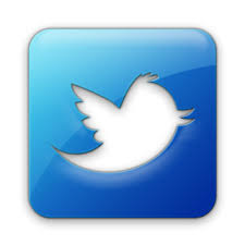 Logo Twitter PNG, Logo Twitter Transparent Background - FreeIconsPNG