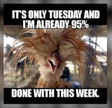 Top 30 tuesday memes work. Tuesday Meme Work