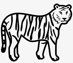 You can print or color them online at getdrawings.com for absolutely free. Vector Stripe Tiger Jpg Colouring Pages Of Tiger 800x654 Png Download Pngkit