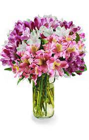 Farm Fresh Colorful Alstroemeria Bouquet Beautiful Flower Arrangements Flower Arrangements Simple Beautiful Flowers