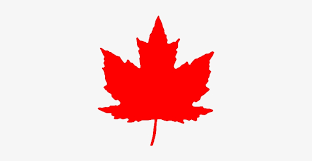 maple leaf from roundel br red canadian maple leaf png free transparent png download pngkey maple leaf from roundel br red