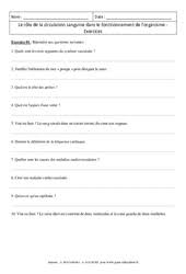 Ils utilisent ces 5eme et ce svt pour assurer leur fonction. Svt 5eme Soutien Scolaire Exercices Cours Evaluation Revision