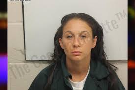 Angel Hunt — Chatham County Jail Bookings