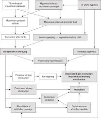 Surfactant Therapy For Meconium Aspiration Syndrome Springerlink