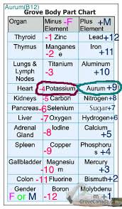 b12 potassium live together as opposites mthfr gene