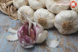 Bawang putih juga memiliki bau yang mudah tertinggal dan menempel, baik di tangan atau penasaran apa saja manfaat bawang putih untuk pria dan bagaimana cara menggunakannya? Bawang Putih Memberi Manfaat Dan Bahaya Kepada Kesihatan Manusia