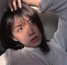 save follow hạ vũ