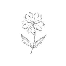 Different kinds of flowers drawing. 10 Different Ways To Draw Flowers Lomond Paper Co