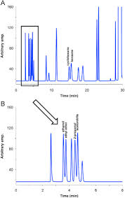 A flame ionization detector (fid) is required. Multiple Responses Optimization In The Development Of A Headspace Gas Chromatography Method For The Determination Of Residual Solvents In Pharmaceuticals Sciencedirect