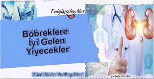 bobreklere iyi gelen yiyecekler blog bilgi vitaminler