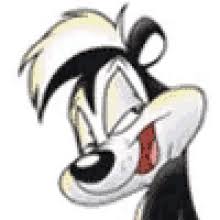Coyote #pepe le pew #road runner #taz #sylvester #bc i still love these stupid drawings #does anyone know how to code bc i still wanna do that dating sim #but i'm highly underqualified and messed up 5. Pepe Pew Gifs Tenor