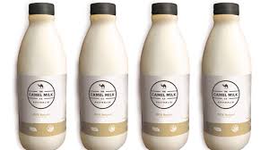 Price on cif in airports Would You Drink Camel Milk Bbc News