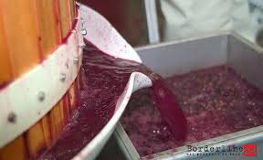 Risultati immagini per mosto