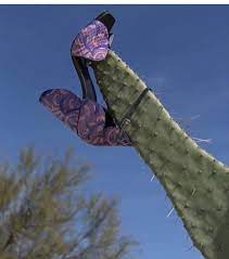 How to get rid of that cactus feeling after shaving? How My Leg Feels Few Days After Shaving Them Thegirlsurvivalguide