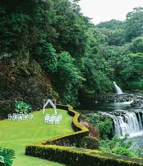 Hawaii Island Wedding Venue The Falls At Reed S Island Wedding Venues Hawaii Hawaii Destination Wedding Hawaii Wedding