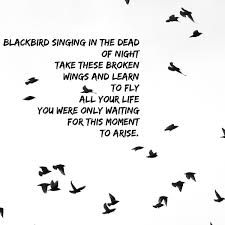 Blackbird Singing In The Dead Of Night Lyrics Blackbird Singing In The Dead Of Night Take These Broken Wings And Learn To Fly All Your Life You Were Only Waiting For This Mom Blackbird Singing Quotes Words
