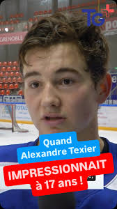 Les joueurs de la ligue nord américaine de hockey sont avant tout des  hommes qui ont un autre métier dans la vie de tous le jours car le cachet  des équipes est