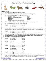 Introduction to dichotomous key maker: Teacher Resources Dichotomous Key Dichotomous Key Science Lesson Activities Biology Worksheet