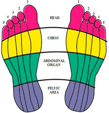 Revisiting Reflexology Concept Evidence Current Practice