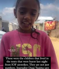 The PQDJ Archive (@pqdj_archive) • Instagram photos and videos