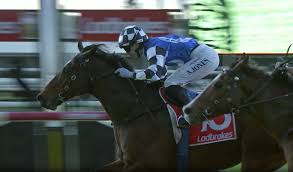 Gizemsavagex-leaks-uncovered-all-her-hottest-content-available-for-you-to-see-now