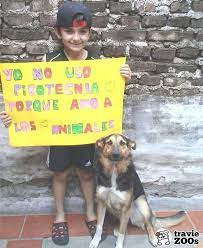 Estamos A Punto De Finalizar Un Gran Ano Pero Por Favor No Usemos Pirotecnia En Las Celebraciones Dog Perros Piro Animales Animales Divertidos Amor De Perro