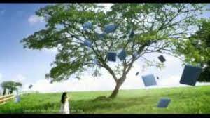 Kartun lucu hantu ini menceritakan wowo saat ikut papahnya bekerja di rumah sakit jiwa. Tonton Hantu Rumah Sakit Jiwa Full Movie Online Kepalabergetar