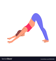 Cartoon Woman In Downward Facing Dog Yoga Pose Vector Image
