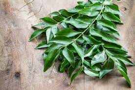 Business information on traditional and complementary medicine for globinmed (malaysia ministry of health): 15 Herbs That You Can Easily Grow At Home In Malaysia Propertyguru Malaysia