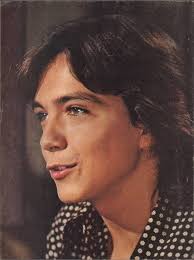 Amazon.com: Who's Who in the Teen World, no. 2 (April 1971): David Cassidy,  Osmond Brothers, Bobby Sherman, Susan Dey, Jack Wild, Brady Bunch, Danny  Bonaduce, Mod Squad, Elvis Presley, Rolling Stones, etc.: