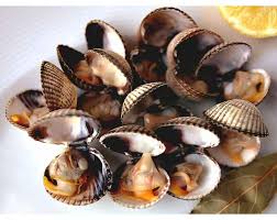 Acheter Des Fruits De Mer Galiciens A La Maison Fruits De Mer A Domicile