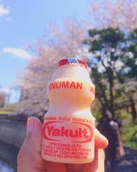 Cintai Ususmu Minum Yakult Tiap Hari Tokyo Japan Explorejapan Sky Goodvibes Langitjapanstory Ide Makanan Makanan Minuman