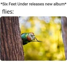 I Make Chris Barnes Memes While Listening To Graveyard Classics Iv Home Facebook