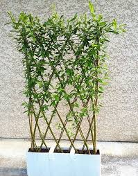 Amenajari Si Decoratiuni Din Crengi De Salcie Pentru O Gradina De Vis Garden Structures Garden Art Planting Flowers